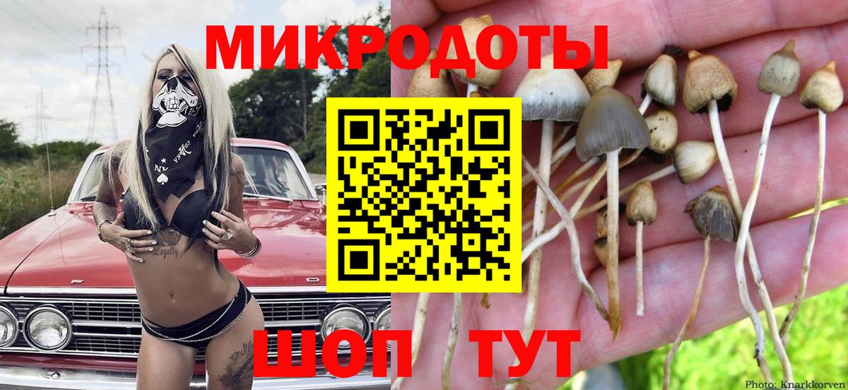 Псилоцибиновые грибы MAGIC MUSHROOMS  Вход с VPN  Шахты 