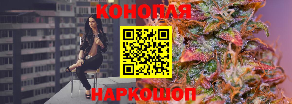 Канабис конопля Шахты